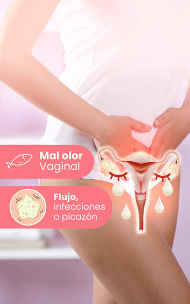 Imagen del carrusel