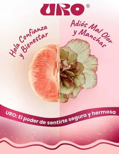 Imagen del carrusel