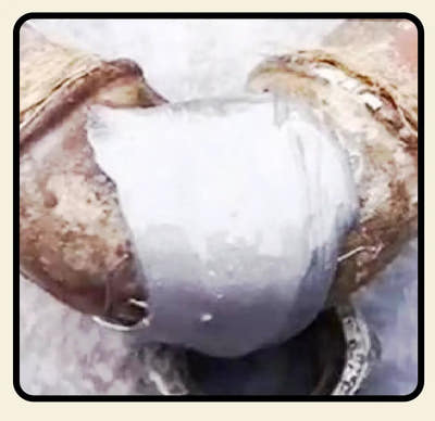 After Image