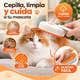 Miniatura de imagen